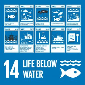 UNSDG #14: Life below Water